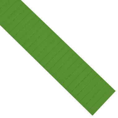 MAGNETOPLAN Ferrocard Etichette 60x22mm 1287005 verde 75 pezzi