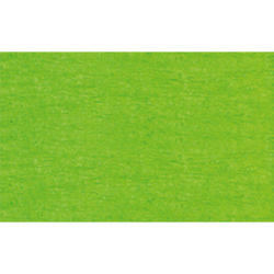 URSUS Bastelkrepp 50cmx2,5m 4120353 32g, hellgrün