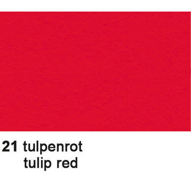 URSUS Cartone per foto A4 3764621 300g, tulipano rosso 100 fogli
