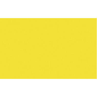 URSUS Cartone per foto A3 1134617 300g, giallo intenso 100 fogli