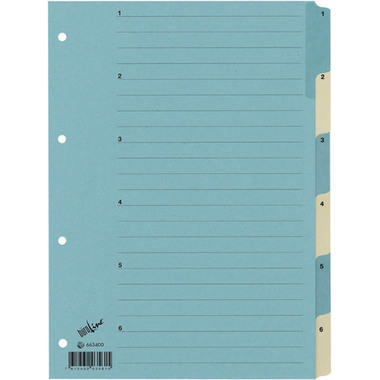 BÜROLINE Register Karton blau/beige A4 663400 1-6