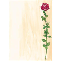 SIGEL Carta design A4 DP695 Rose Bloom, 90g 25 fogli
