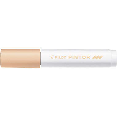 PILOT Marker Pintor M SW-PT-M-PO salmone