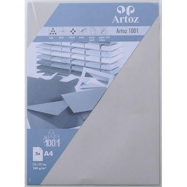 ARTOZ Papier 1001 A4 107796142 100g, gris clair 5 feuilles
