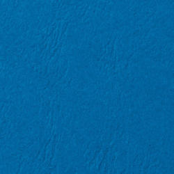 GBC Coperta rilegafogli A4 CE040020 blu, 250g 100 pezzi