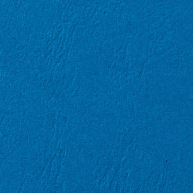 GBC Einbanddeckel A4 CE040020 blau, 250g 100 Stück