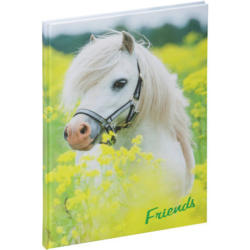 PAGNA Libro amici 20346-15 Pony 60S