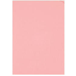 ELCO Cartella di organiz. Ordo A4 29466.51 discreta, rosa 100 pezzi