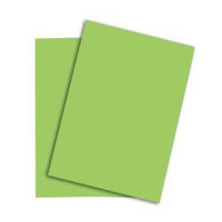 PAPYRUS Rainbow Papier FSC A4 88043140 160g, grün 250 Blatt