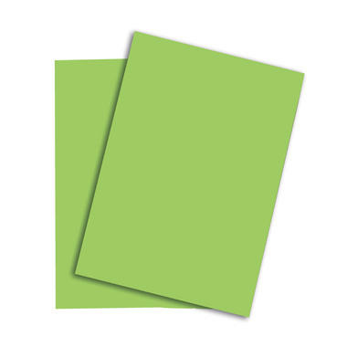 PAPYRUS Rainbow Paper FSC A4 88043140 160g, vert 250 feuilles
