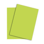 Die Post | La Poste | La Posta PAPYRUS Rainbow Paper FSC A4 88042608 80g, verde brillante 500 fogli