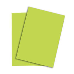 PAPYRUS Rainbow Papier FSC A4 88042608 leuchtend grün, 80g 500 Blatt