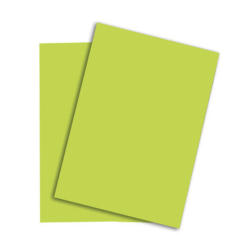 PAPYRUS Rainbow Paper FSC A4 88043110 120g, verde 250 fogli