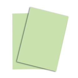 PAPYRUS Rainbow Paper FSC A3 88042638 160g, verde 250 fogli