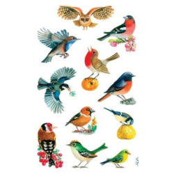Z-DESIGN Sticker Creative 55713 Vögel 3 Stück