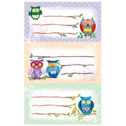 Z-DESIGN Sticker Owl 8.4x16cm 59249Z coloré 2 flls.