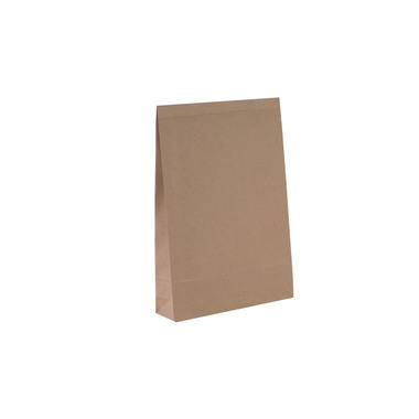 FLEXIPAK Sacchetto carta erba 2FVMF001201 190x300+50mm 500 pezzi