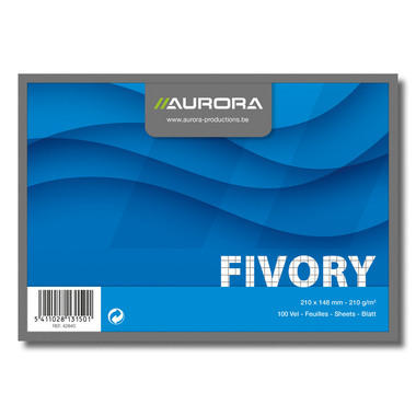 AURORA Cartes-fiche quadrillées A5 42840 blanc 100 pcs.