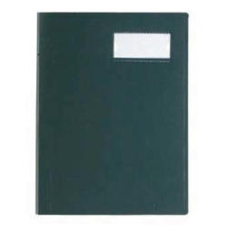 VIQUEL Sichtbuch A4 508003-04 grün 40 Taschen