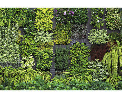 Fototapete Vlies 2227-10 Imitations 2 Garden 8-tlg. 400 x 270 cm