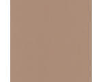 Hornbach Vliestapete 10335-48 Elle Decoration 3 Uni Beige;Kupfer