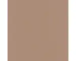 Hornbach Vliestapete 10335-48 Elle Decoration 3 Uni Beige;Kupfer
