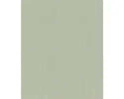 Vliestapete Indian Style uni grün