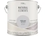 Hornbach StyleColor NATURAL ELEMENTS Wandfarbe Erholung graublau 2,5 l