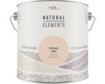 Hornbach StyleColor NATURAL ELEMENTS Wandfarbe Freude rosa 2,5 l