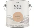 Hornbach StyleColor NATURAL ELEMENTS Wandfarbe Leidenschaft schmeichelndes terrakotta 2,5 l