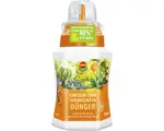 Hornbach Kakteendünger Compo 250 ml