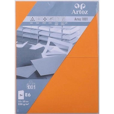ARTOZ Cartes 1001 E6 107372265 220g, orange 5 feuilles