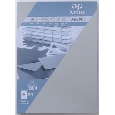 ARTOZ Cartes 1001 A4 107696142 220g, gris clair 5 feuilles