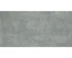 Hornbach Feinsteinzeug Bodenfliese Pietra 30,0x60,0 cm grau