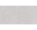 Hornbach Steingut Wandfliese Vilma 29,8x59,8 cm grau glossy
