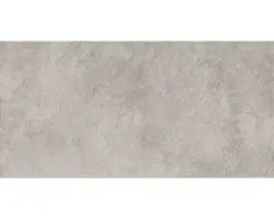 Feinsteinzeug Bodenfliese Morenci 29,8x59,8 cm lichtgrau