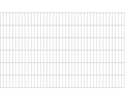 Doppelstabmatte ALBERTS 6/5/6 200 x 120 cm feuerverzinkt