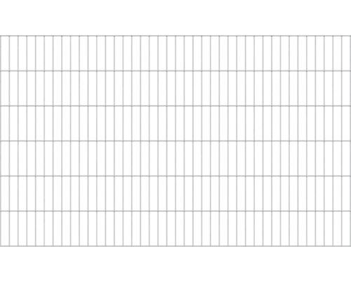 Doppelstabmatte ALBERTS 6/5/6 200 x 120 cm feuerverzinkt