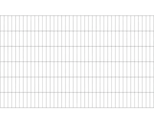 Doppelstabmatte ALBERTS 6/5/6 200 x 120 cm feuerverzinkt