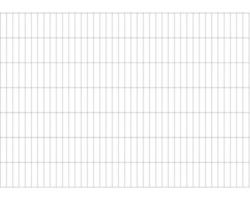 Doppelstabmatte ALBERTS 6/5/6 200 x 140 cm feuerverzinkt