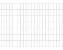 Doppelstabmatte ALBERTS 6/5/6 200 x 140 cm feuerverzinkt