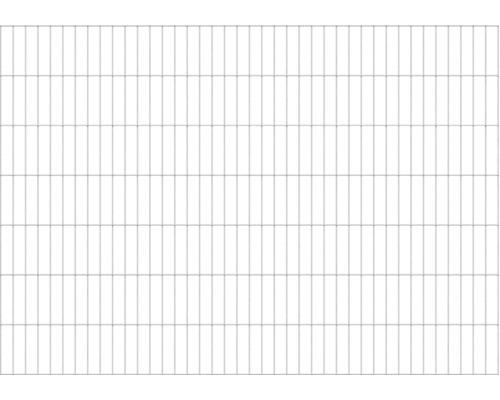 Doppelstabmatte ALBERTS 6/5/6 200 x 140 cm feuerverzinkt