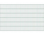 Hornbach Doppelstabmatte ALBERTS 6/5/6 200 x 120 cm grün