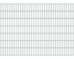 Doppelstabmatte ALBERTS 6/5/6 200 x 140 cm grün