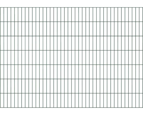 Doppelstabmatte ALBERTS 6/5/6 200 x 140 cm grün