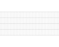 Doppelstabmatte ALBERTS 6/5/6 200 x 80 cm feuerverzinkt
