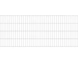 Doppelstabmatte ALBERTS 6/5/6 200 x 80 cm feuerverzinkt