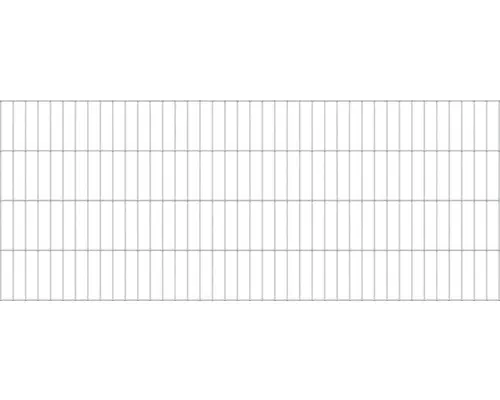 Doppelstabmatte ALBERTS 6/5/6 200 x 80 cm feuerverzinkt