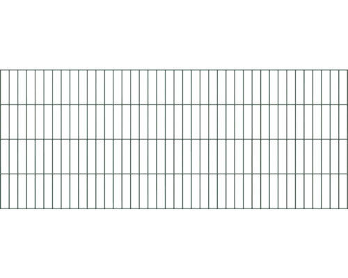 Doppelstabmatte ALBERTS 6/5/6 200 x 80 cm grün