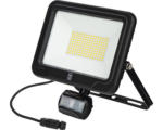 Hornbach LED Leuchte Strahler/Spot/Fluter Lumakpro 50 W IP 44 schwarz